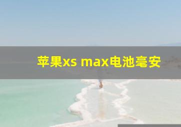 苹果xs max电池毫安